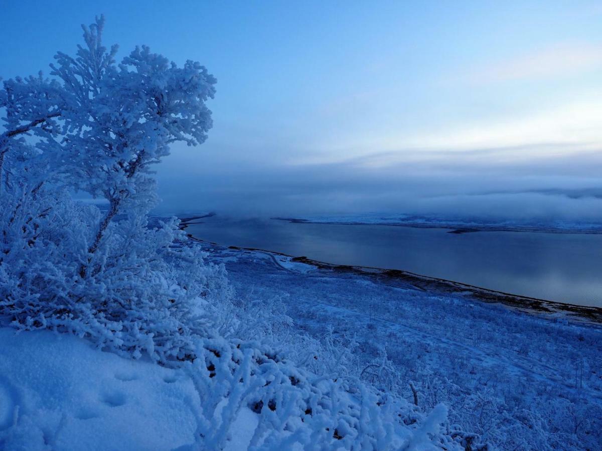 Varangertunet Bed & Breakfast Jakobselv Esterno foto